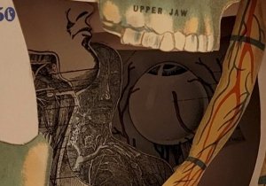 Revolutionary: Members' Juried Theme Show