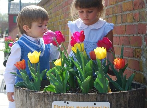 17th annual Lewes Tulip Celebration