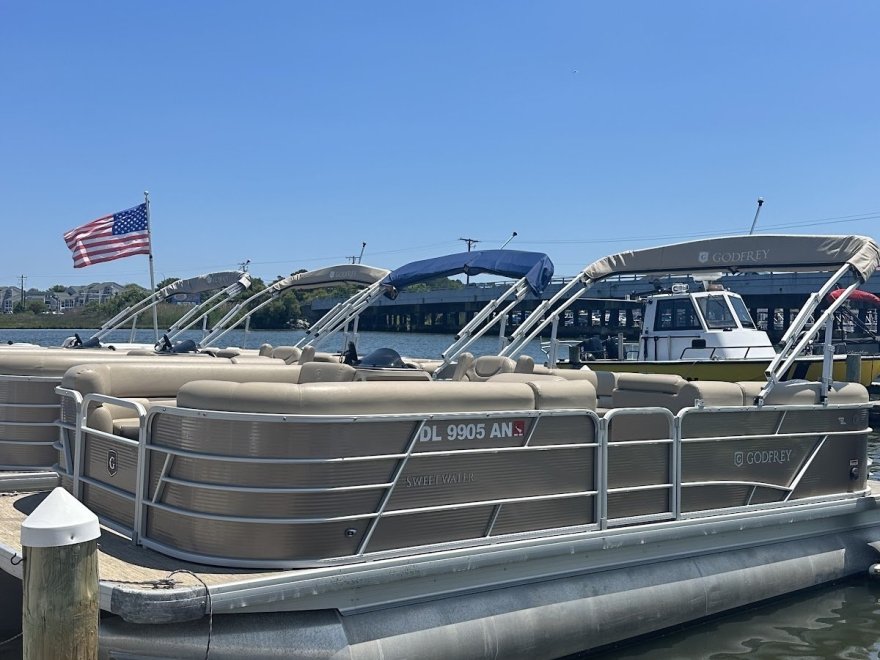 Shark's Cove Marina