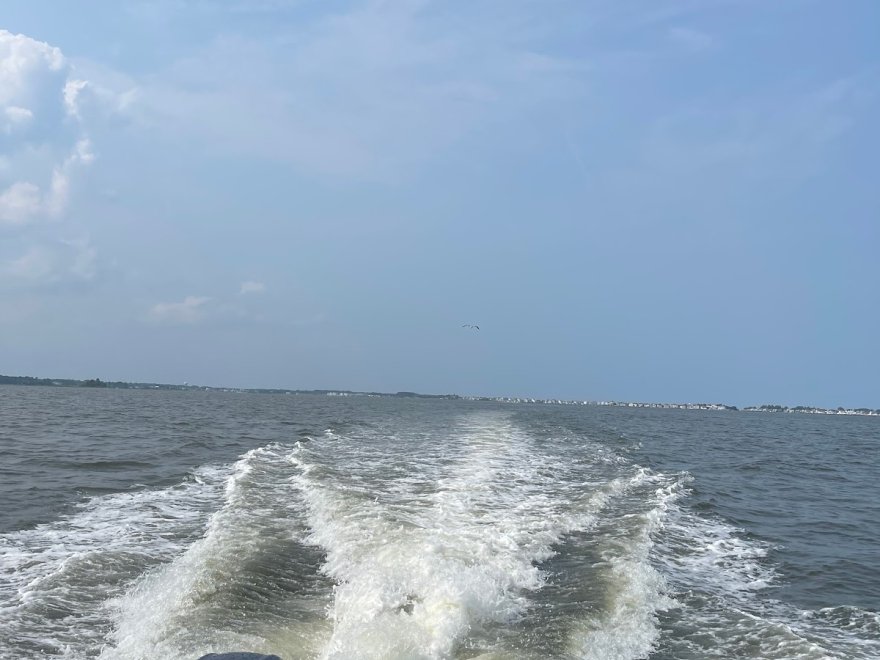 Shark's Cove Marina