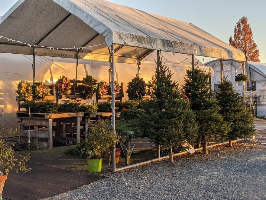 Lakeside Greenhouses