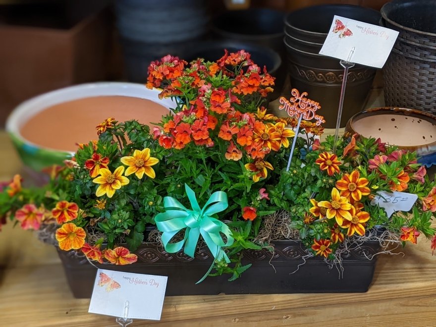 Lakeside Greenhouses