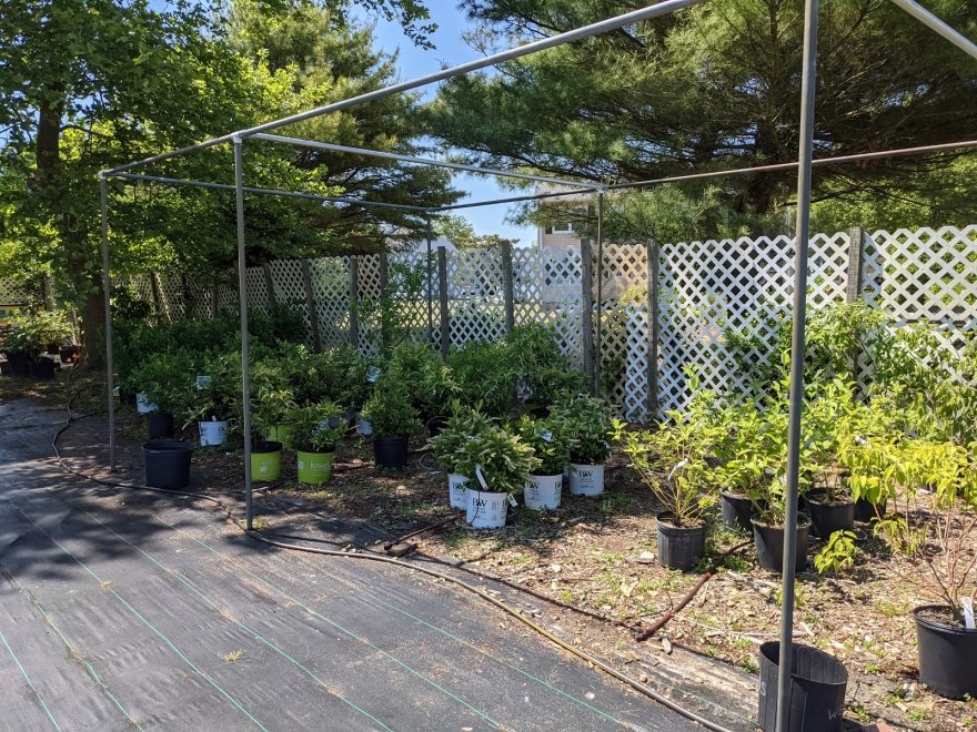 Inland Bays Garden Center