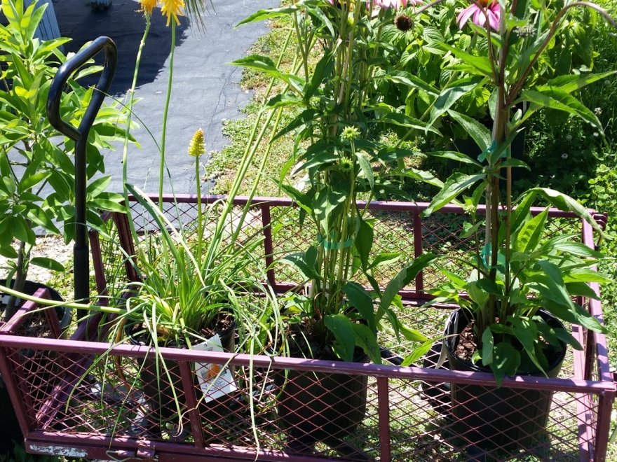 Inland Bays Garden Center