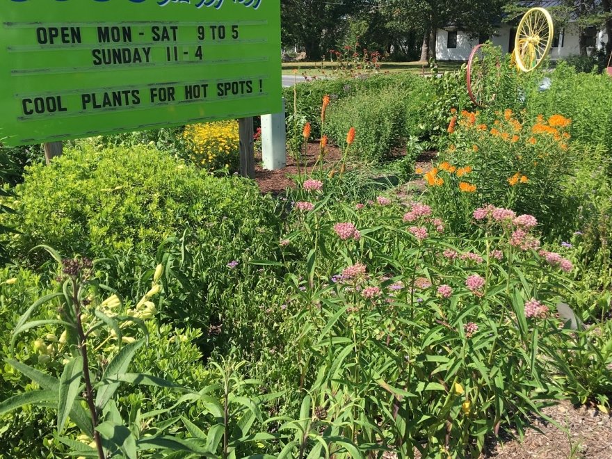 Inland Bays Garden Center
