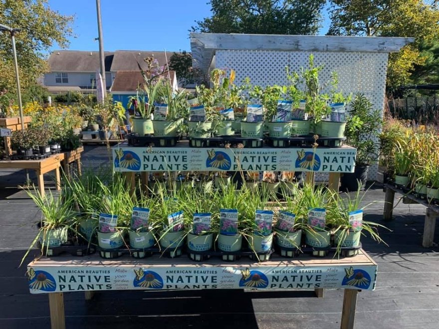 Inland Bays Garden Center