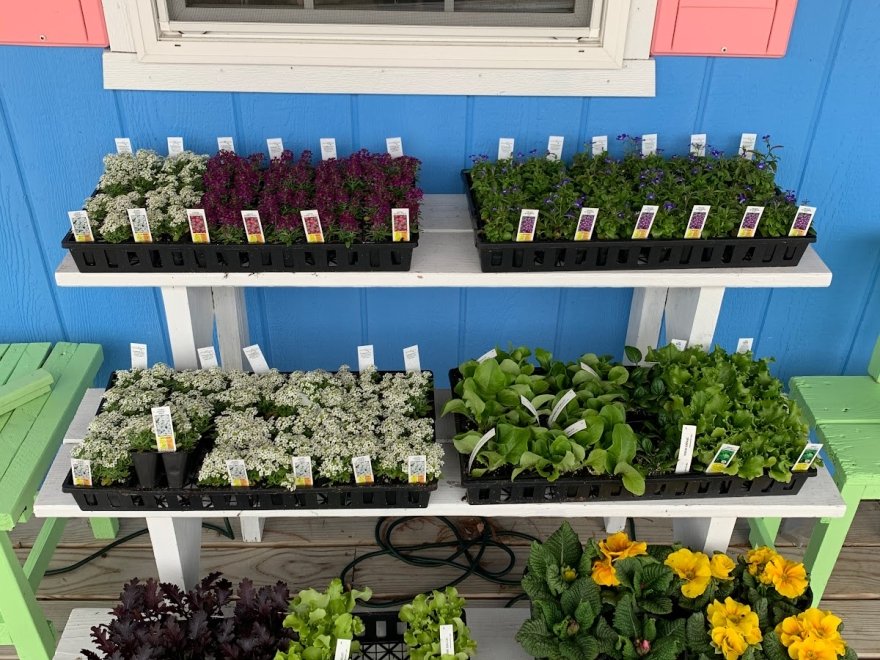Inland Bays Garden Center