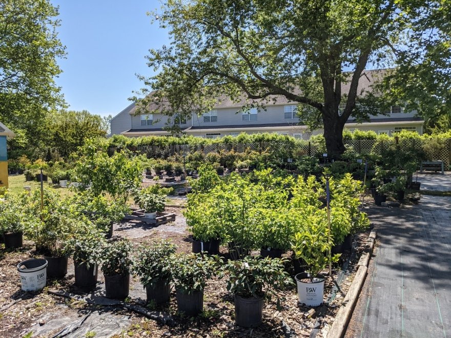 Inland Bays Garden Center