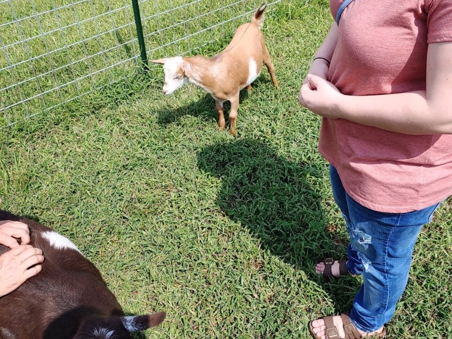 Story Hill Farm