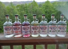 Feebs Distilling