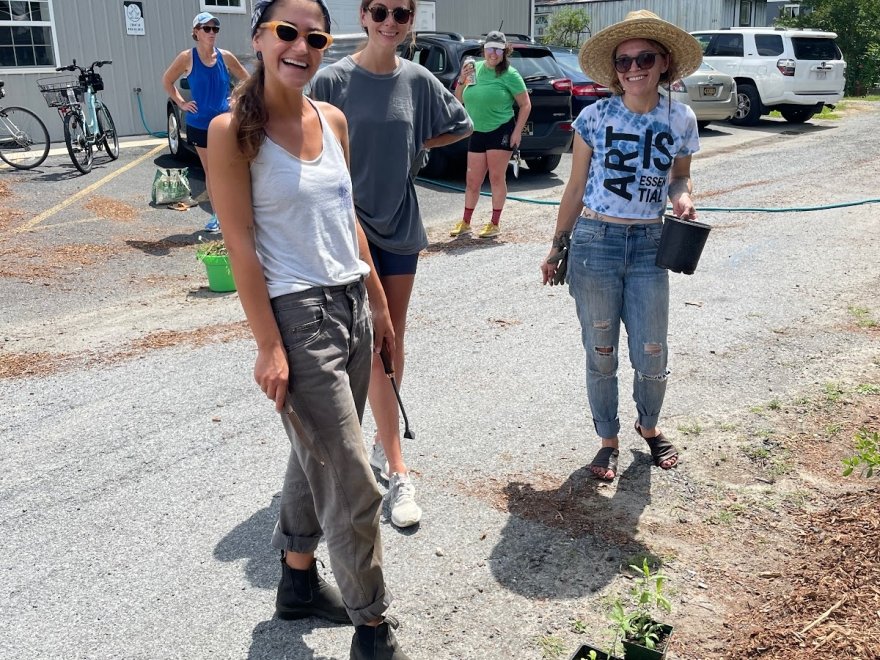 The Developing Artist Collaboration