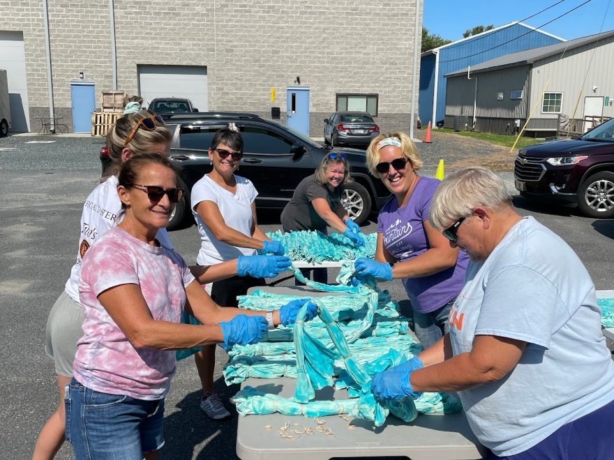 The Developing Artist Collaboration