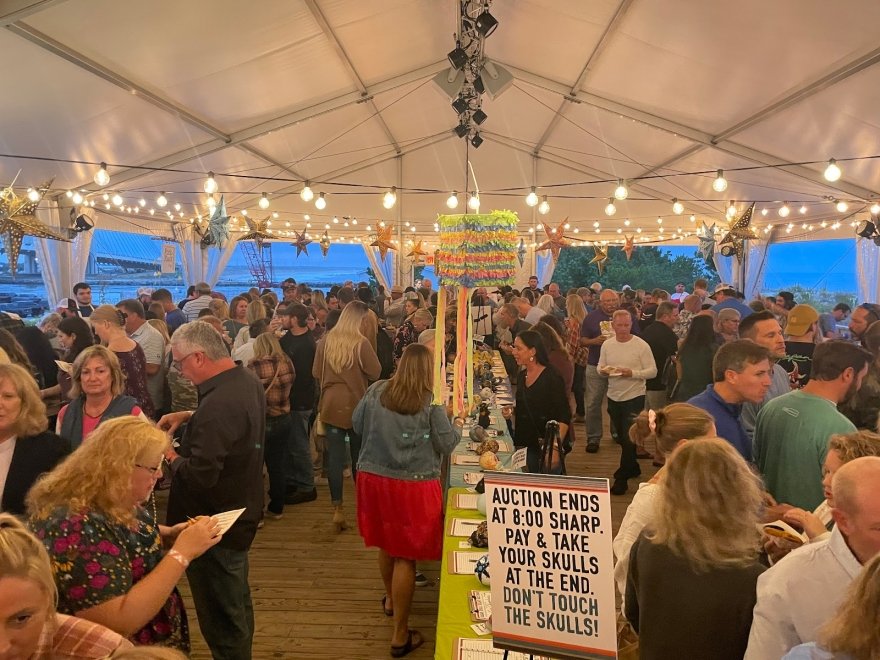 The Developing Artist Collaboration