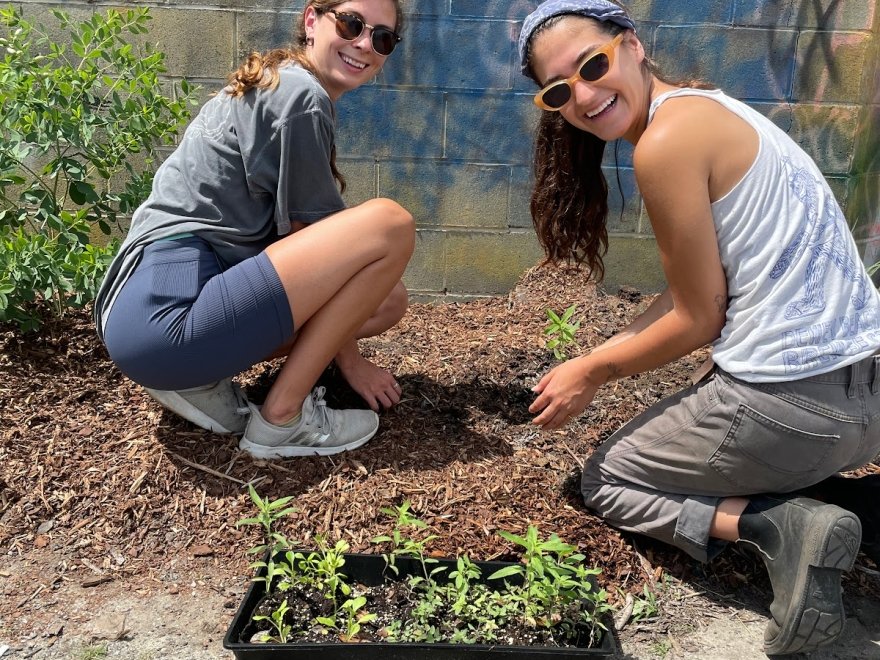 The Developing Artist Collaboration