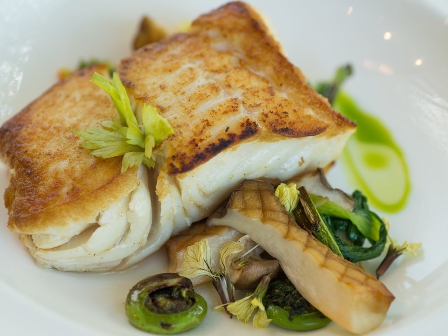 Federal Fritter & Bistro