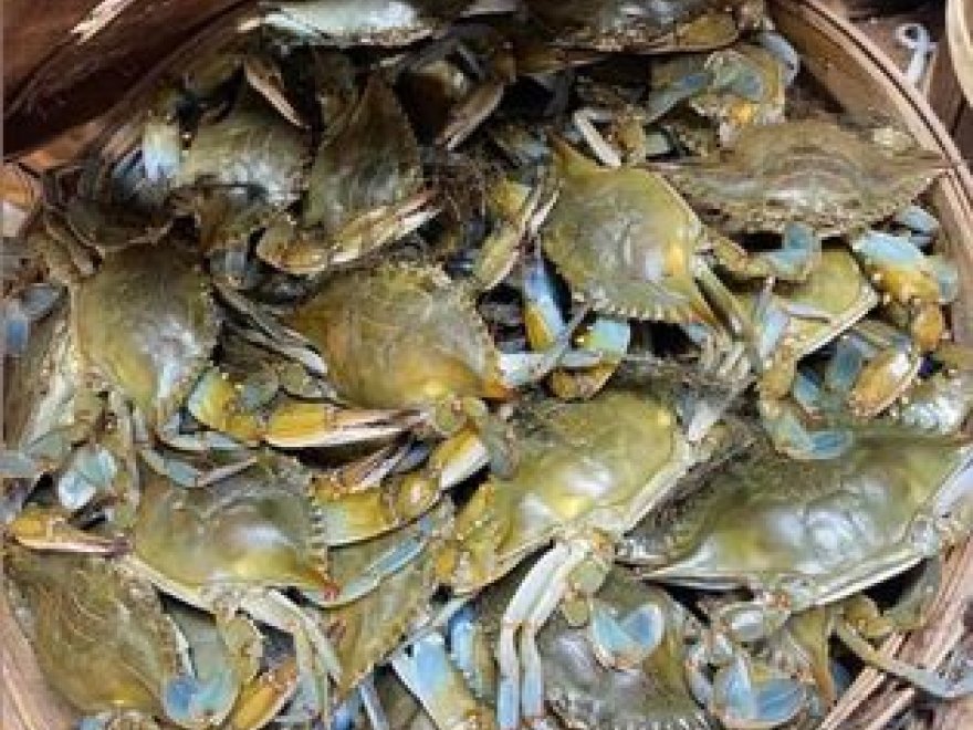 The Crab Connect