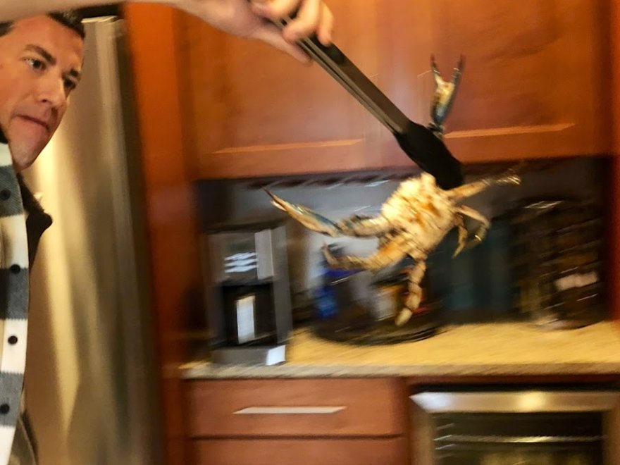 The Crab Connect