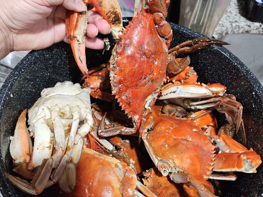 The Crab Connect