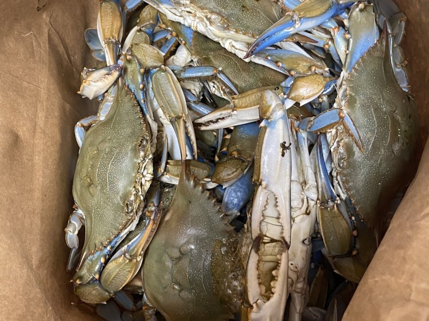 The Crab Connect