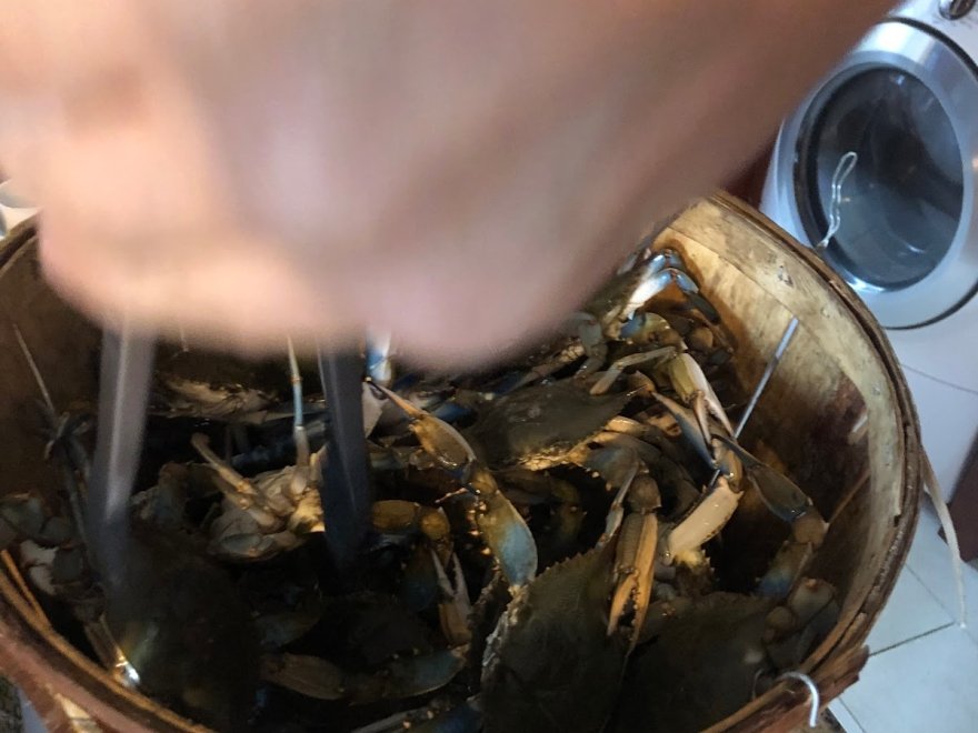 The Crab Connect