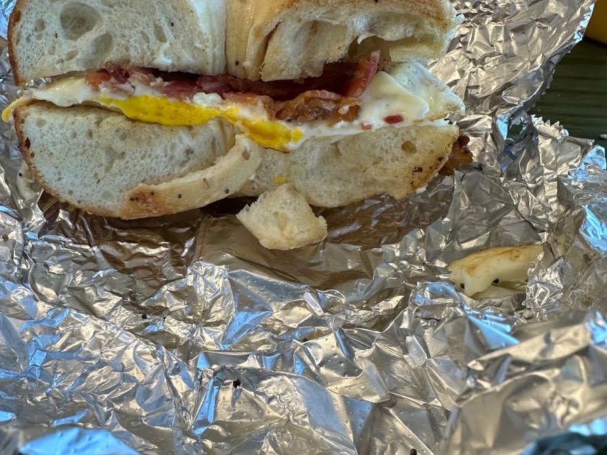 Surf Bagel Milford