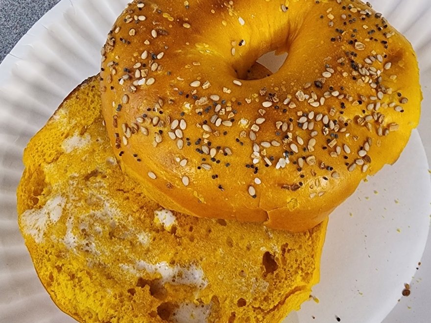 Surf Bagel Milford