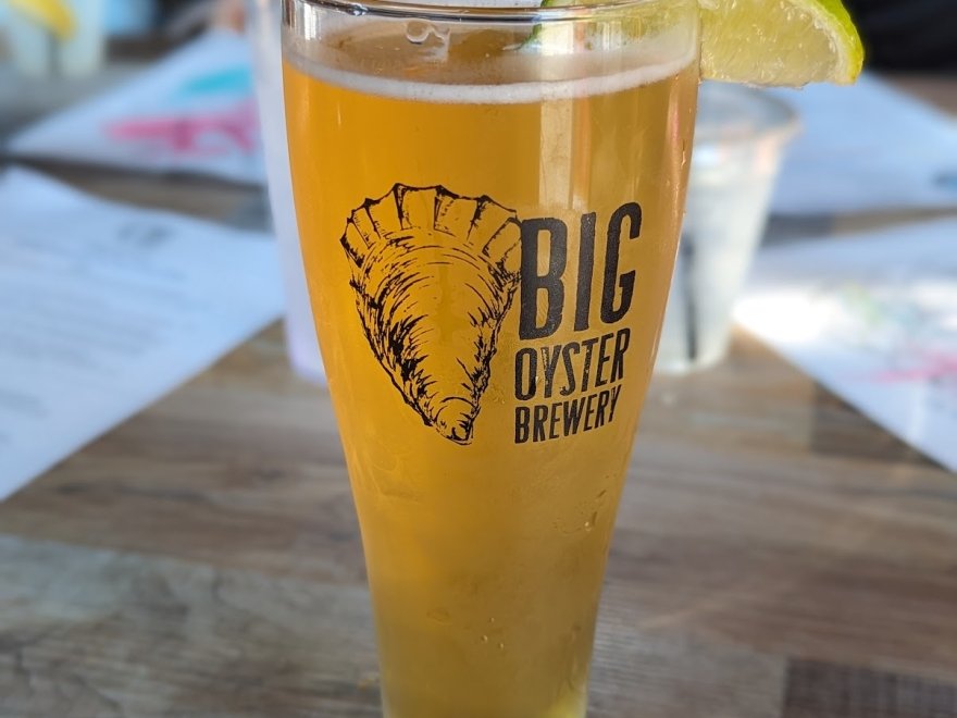 Fins Ale House & Raw Bar