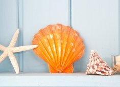 JACK LINGO REALTOR- Rehoboth Rentals