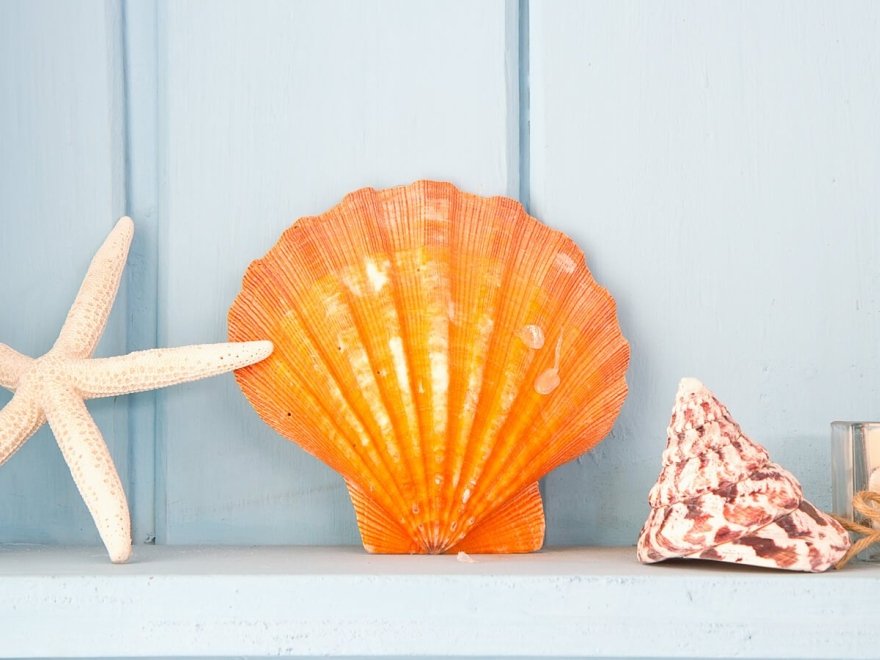 JACK LINGO REALTOR- Rehoboth Rentals