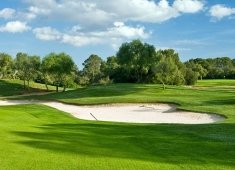 The Salt Pond Golf Club