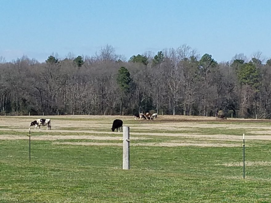 Vanderwende Farm Creamery