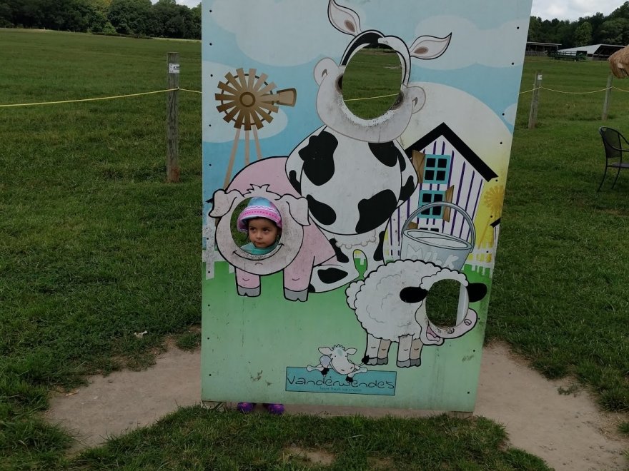 Vanderwende Farm Creamery