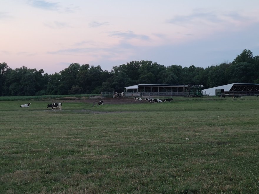 Vanderwende Farm Creamery