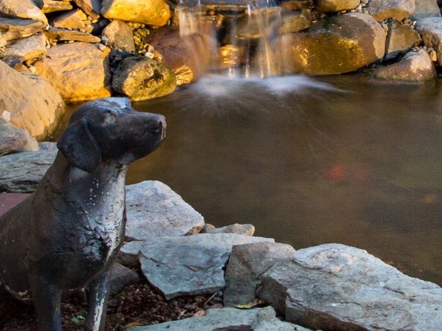 The Bellmoor Inn and Spa