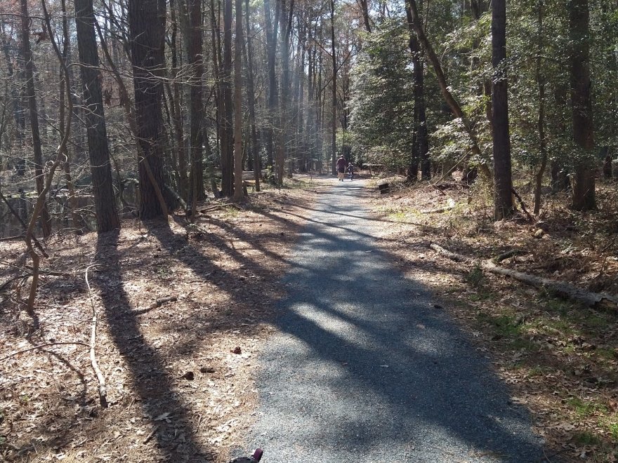 Trap Pond State Park