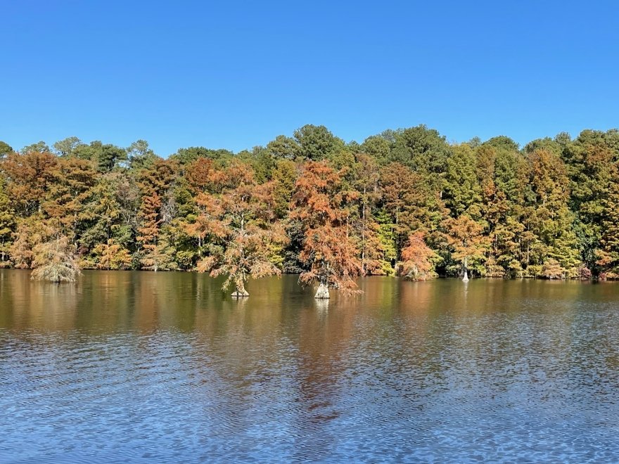 Trap Pond State Park