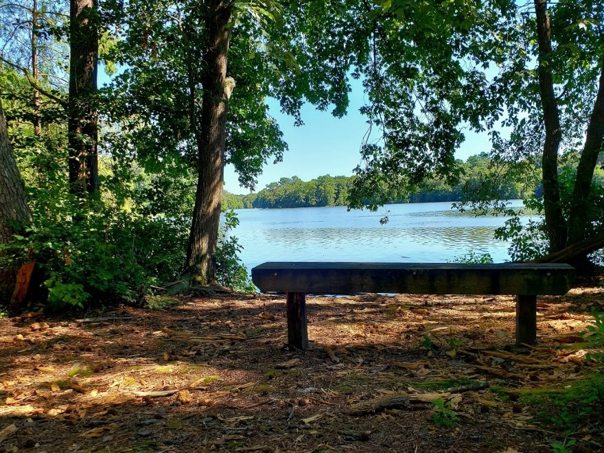 Trap Pond State Park