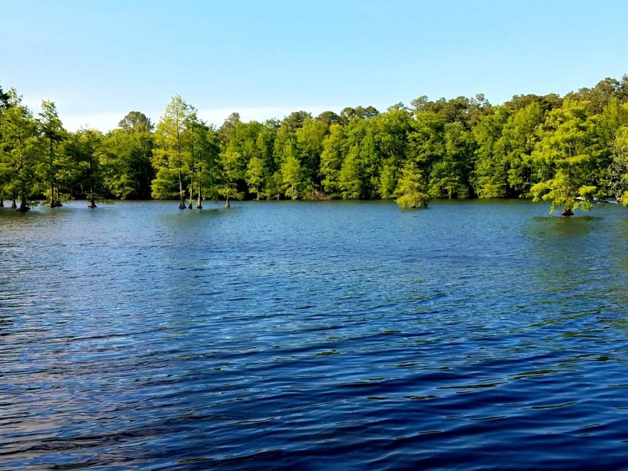 Trap Pond State Park