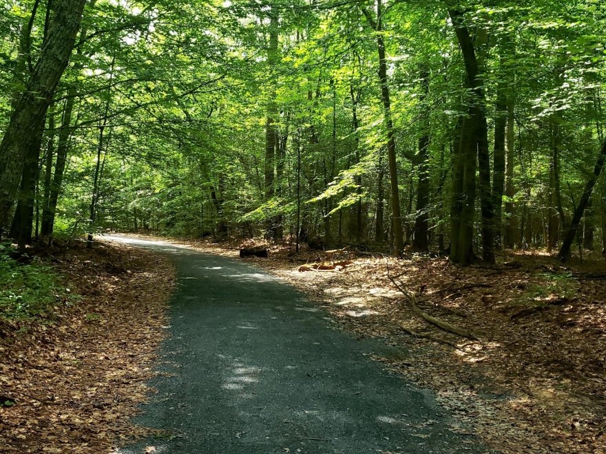 Trap Pond State Park