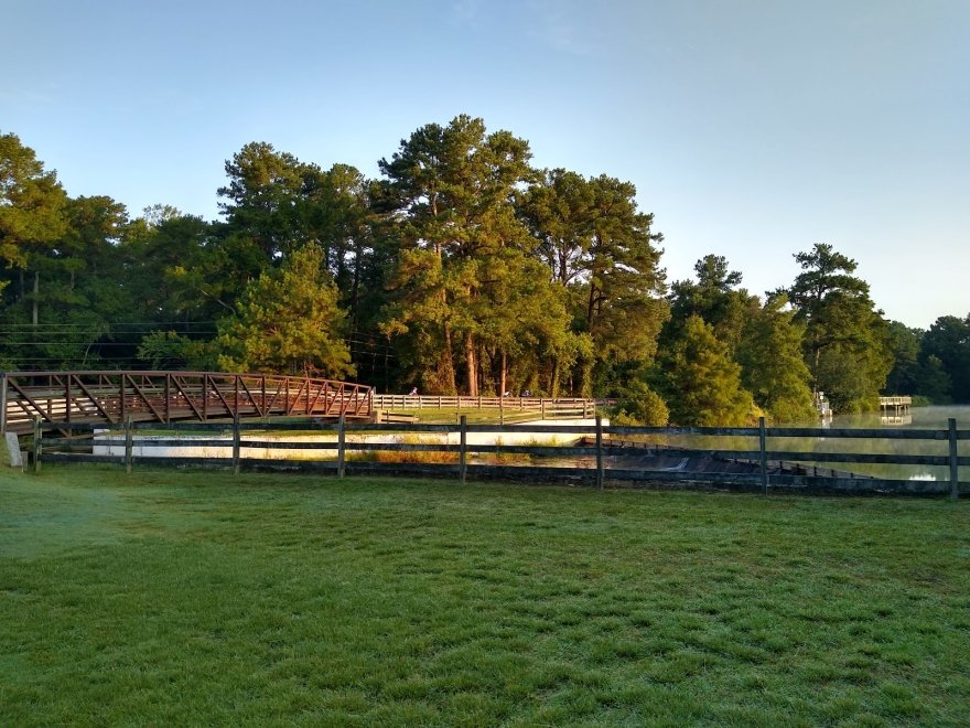 Trap Pond State Park