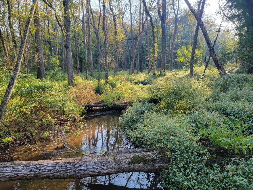Trap Pond State Park