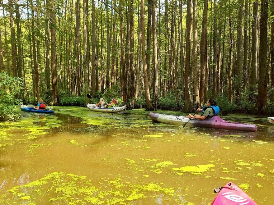 Trap Pond State Park