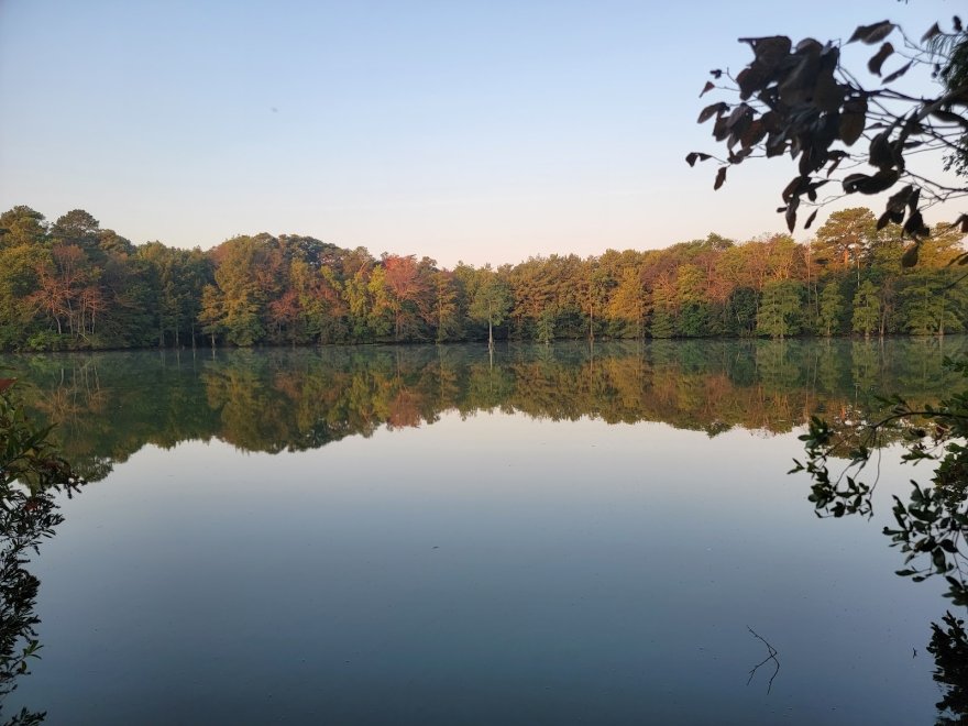 Trap Pond State Park