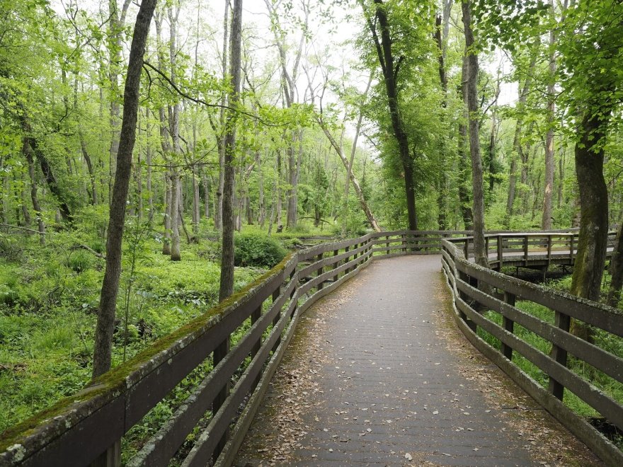 Trap Pond State Park