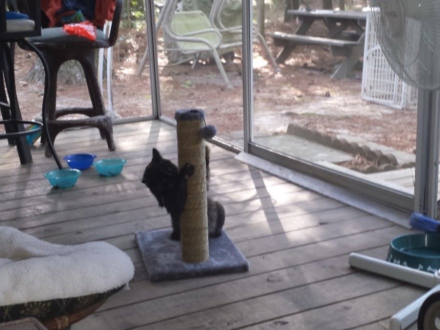 Holly Lake Campsites