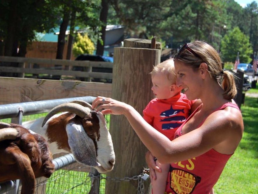 Holly Lake Campsites