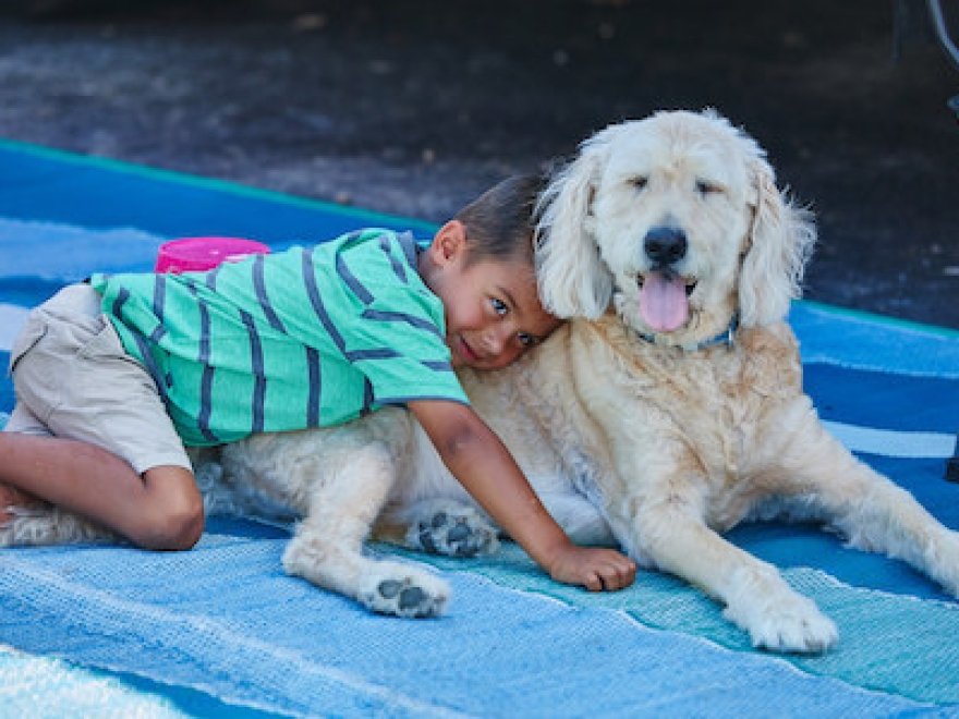 Sun Outdoors Rehoboth Bay