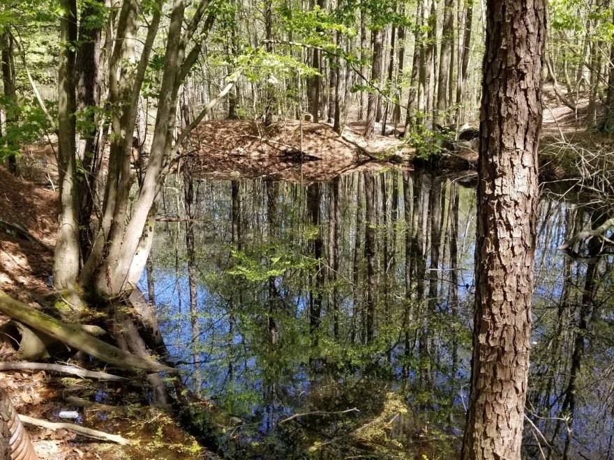 Holts Landing State Park