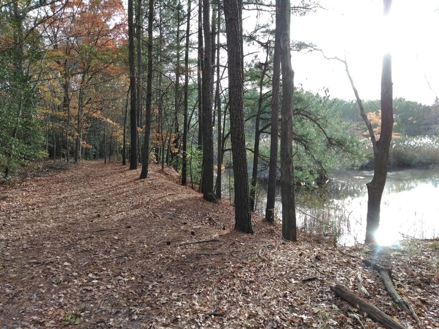 Holts Landing State Park