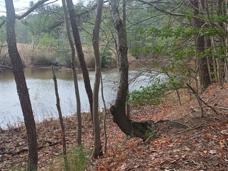 Holts Landing State Park